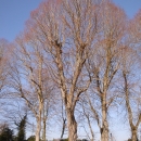 dsc01441