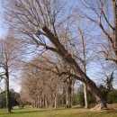 dsc01451
